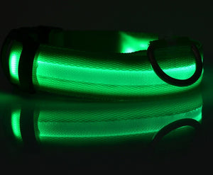 Galuxia Nylon LED Pet Dog Luminous Collar Night Safety Flashing Glow in Dark Dog Cat Leash Adjustable Pet Supplies