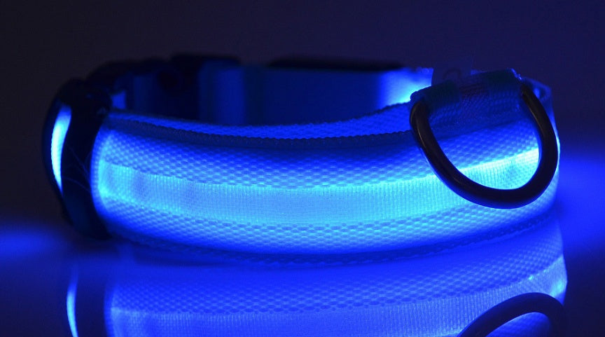 Galuxia Nylon LED Pet Dog Luminous Collar Night Safety Flashing Glow in Dark Dog Cat Leash Adjustable Pet Supplies