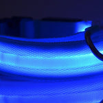 Galuxia Nylon LED Pet Dog Luminous Collar Night Safety Flashing Glow in Dark Dog Cat Leash Adjustable Pet Supplies