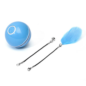 Galuxia LED Laser Electronic Rolling Pet Funny Cat Toy Ball