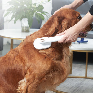 Galuxia Pet Comb Cat Dog To Remove Floating Hair Pet Hair Brush Hair Removal Artifact Pet Grooming Brush Supplies Self Cleaning Comb Pet Products