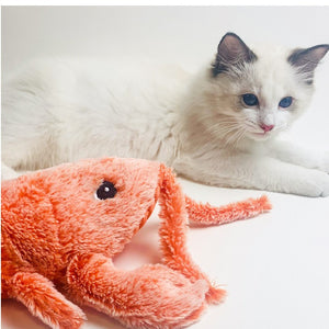 Galuxia Pet Toys Electric Jumping Shrimp USB Charging Simulation Lobster Funny Cat Plush Pets Toy