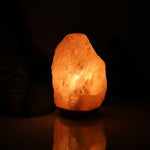 Galuxia Crystal salt lamp socket lamp creative decoration gift rose salt lamp night light bedside lamp