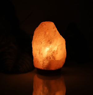 Galuxia Crystal salt lamp socket lamp creative decoration gift rose salt lamp night light bedside lamp