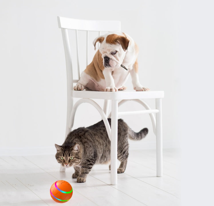 Galuxia Pet New Cat Wicked Ball Toy Intelligent Ball USB Cat Toys Self Rotating Ball Automatic Rotation Ball