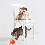 Galuxia Pet New Cat Wicked Ball Toy Intelligent Ball USB Cat Toys Self Rotating Ball Automatic Rotation Ball