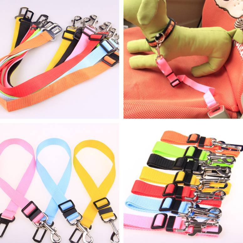 Galuxia Fixed Strap Polyester Dog Strap Dog Leash Dog Leash