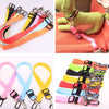 Galuxia Fixed Strap Polyester Dog Strap Dog Leash Dog Leash