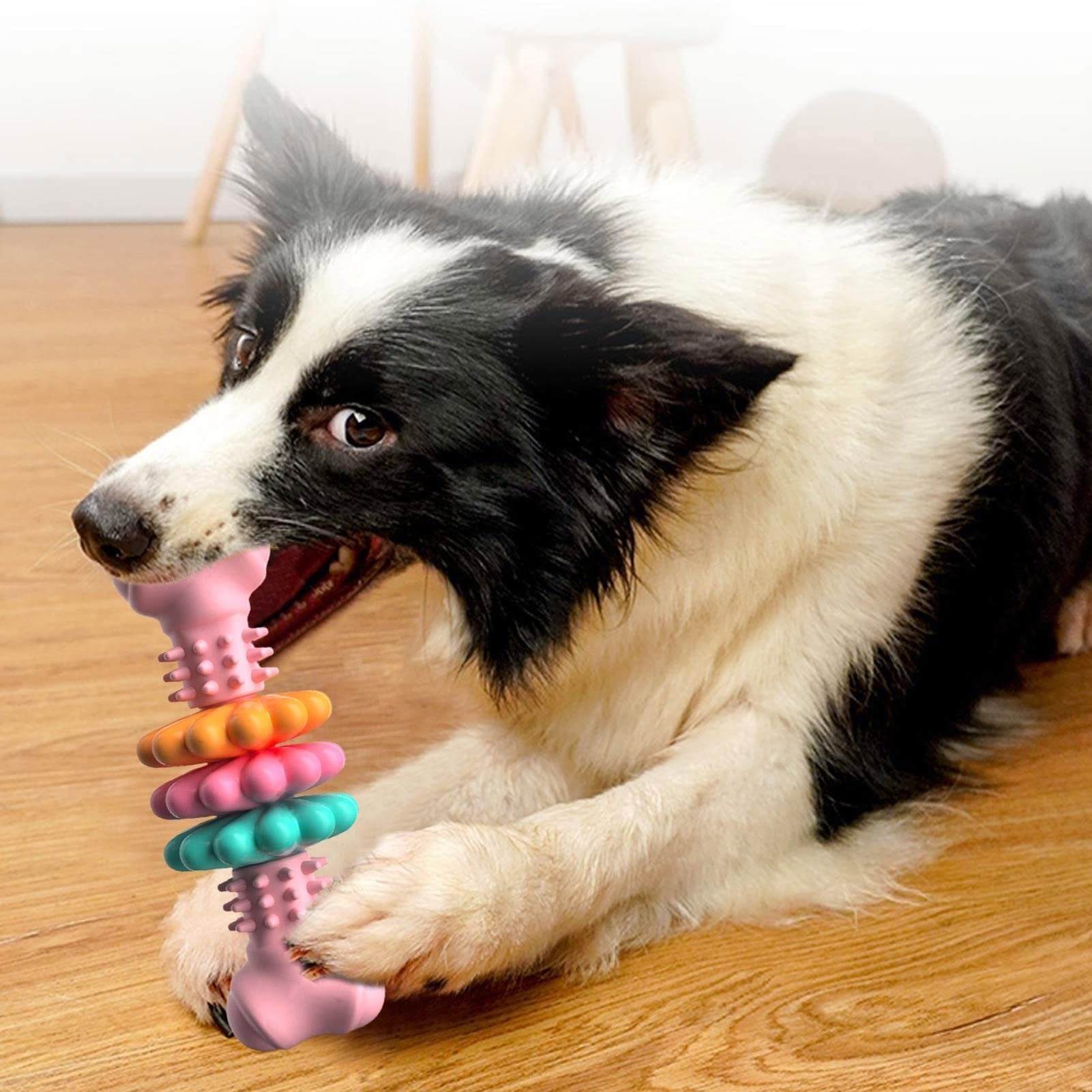 Galuxia Dog Chew Toy Dog Bone Type  Dogs Teeth Cleaning Toys Indestructible TPR Bone Chewing Bite Resistant Teething Toys  Pet Products