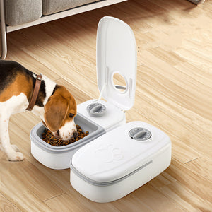 Galuxia Automatic Pet Feeder Smart Food Dispenser For Cats Dogs Timer Stainless Steel Bowl Auto Dog Cat Pet Feeding Pets Supplies